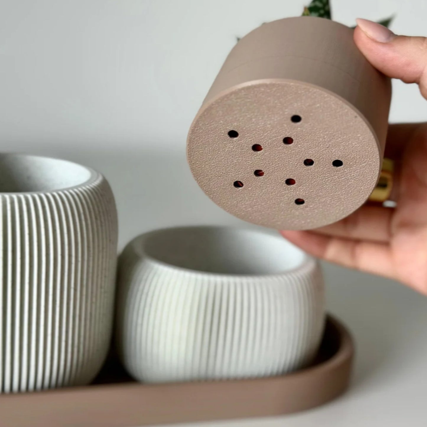 Trama Duo Armonia - Porta Caneta Com Vaso Suculenta