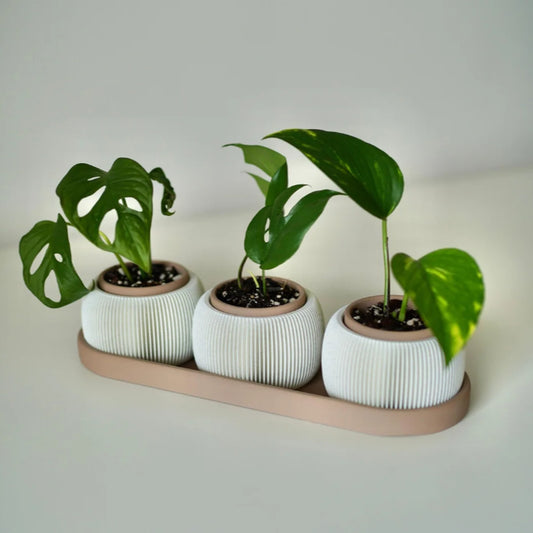 Trio Trama - Vasos Suculentas Com Drenagem